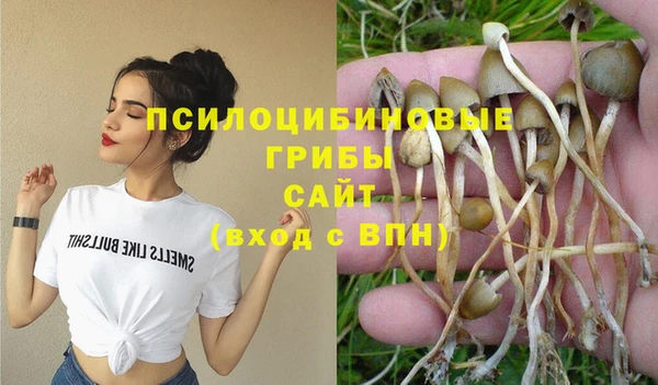 эйфоретик Алексин