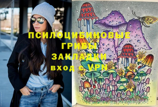 эйфоретик Алексин
