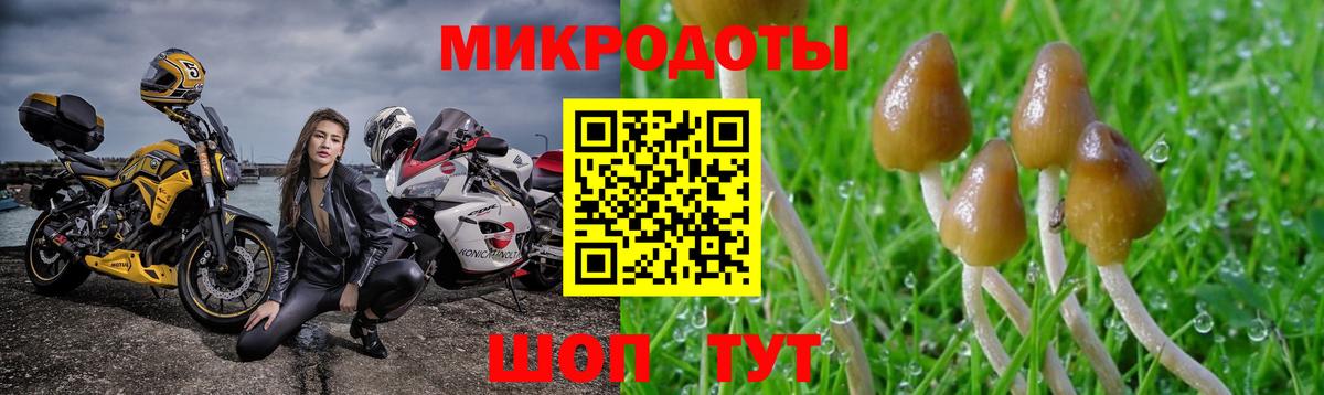 Сибай  Галлюциногенные грибы Psilocybe  Вход с VPN 